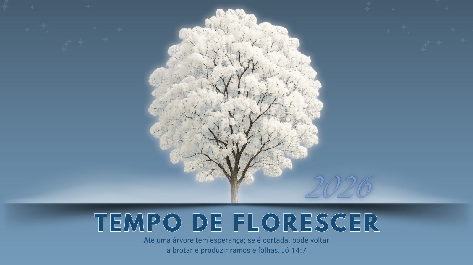 Tempo de Florescer 2026